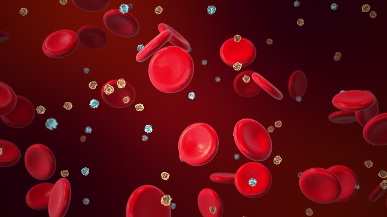 ダイエット橿原