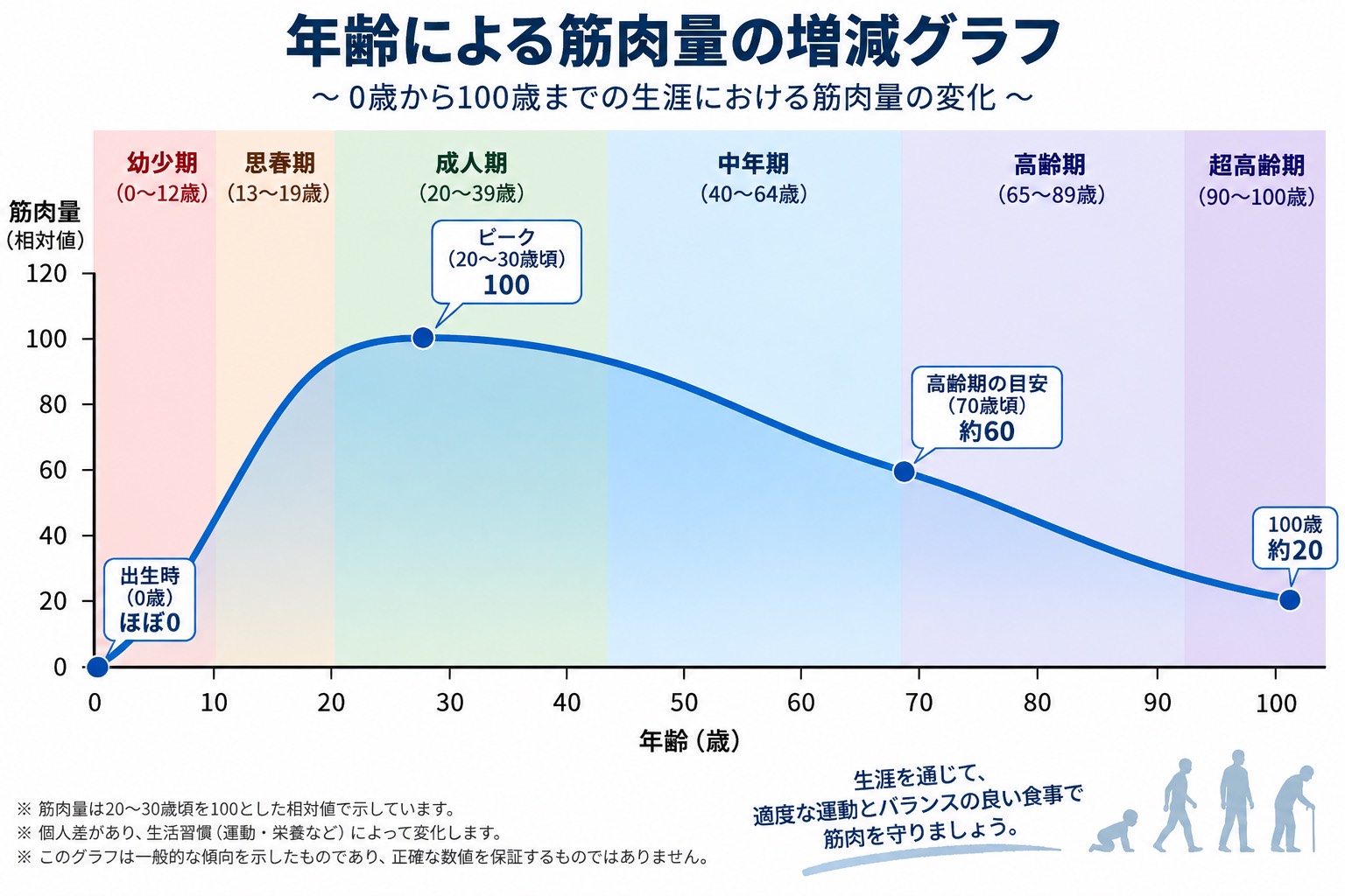 筋肉量グラフ南森町