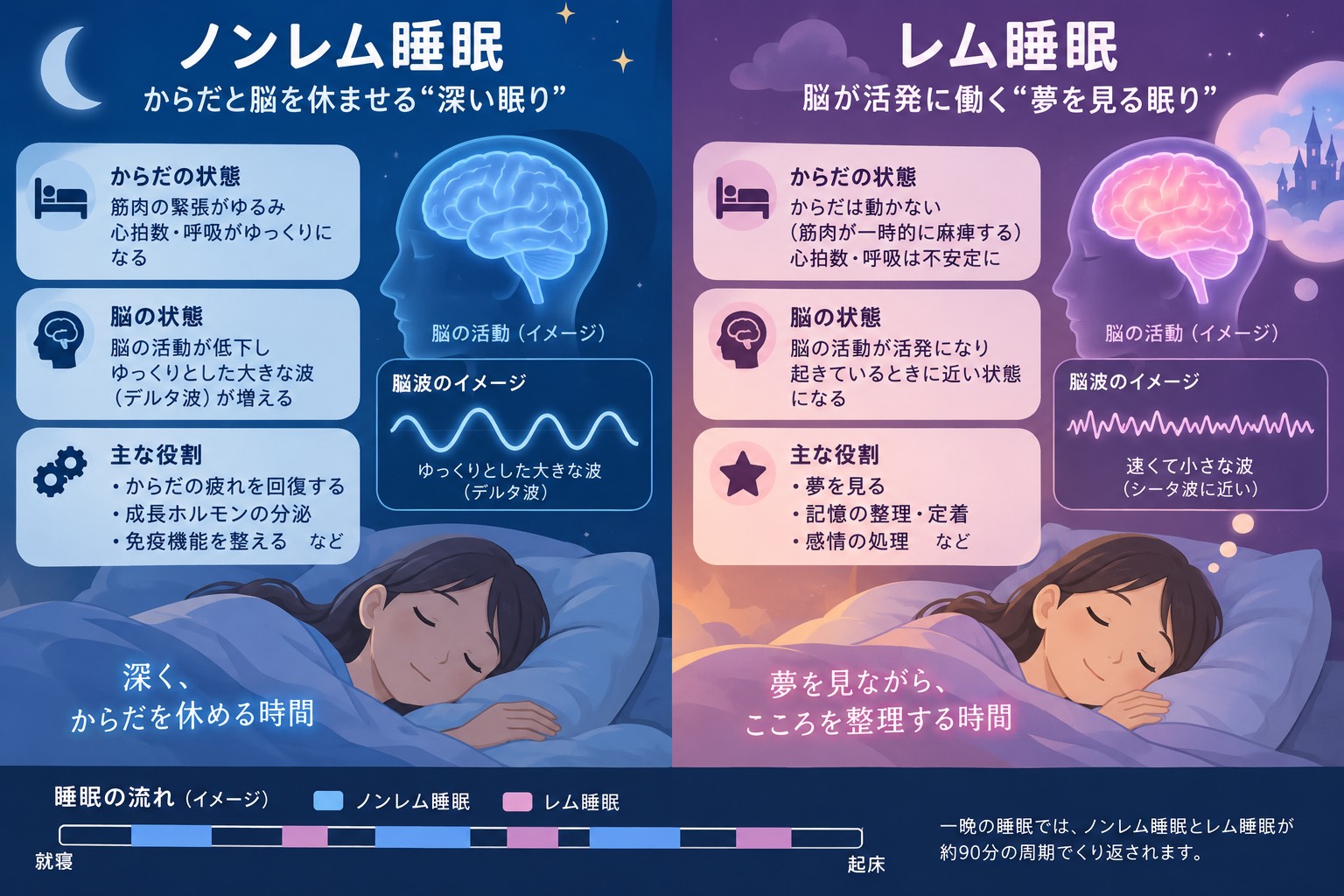 レム睡眠ノンレム睡眠